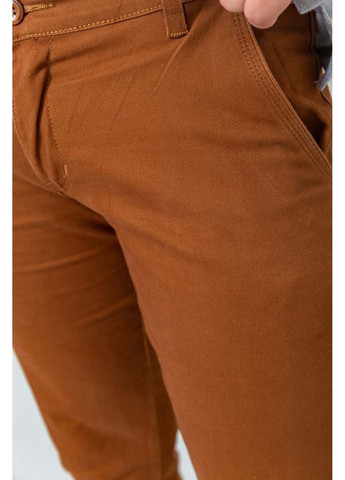 Коричневые демисезонные брюки Ager