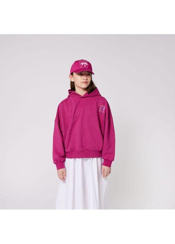 Худі, арт. 62282, фуксія, 4 роки, 100 см DKNY (357204007)