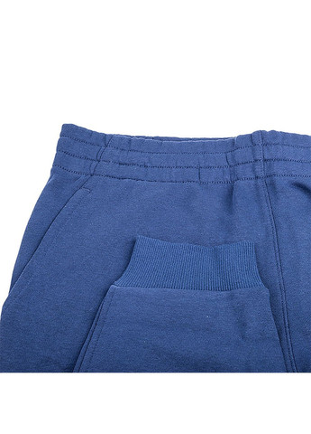 Синие спортивные демисезонные брюки Nike