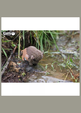 Сборная 3D модель Зоопарк Бизон (XEG-045) Eugy (333251860)