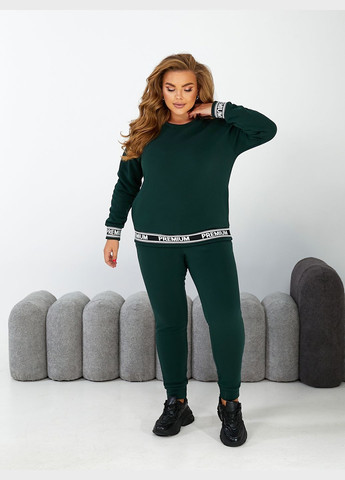 Спортивный костюм на флисе No Brand (301581219)