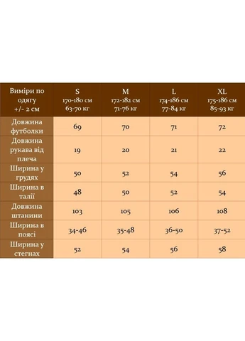 Сірий чоловічий літній костюм брюки + футболка чорно/сірий No Brand