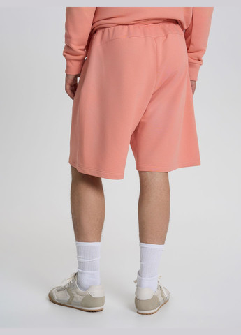 Шорти чоловічі щільні світло-бежевого кольору Роза (326584866)