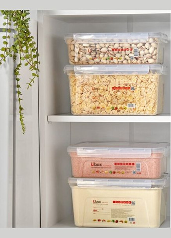 Контейнер с крышкой 5 л U-Box (341702226)