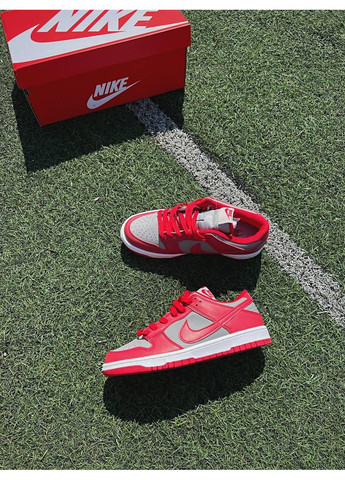 Серые демисезонные кроссовки мужские nike sb dunk low retro medium grey red v2 найк сб данк No Brand