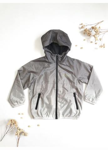 Серая куртка-ветровка 122 см серый артикул л771 Zara