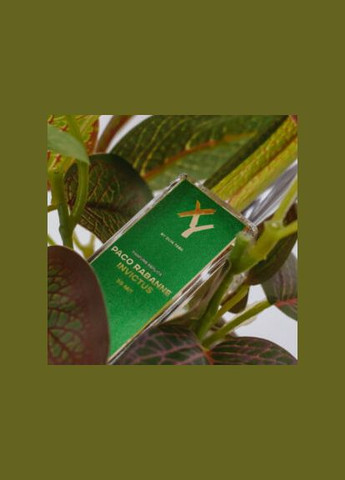 Парфуми з потрійною силою афродизіаку XY №235 за мотивом світового бренду Paco Rabanne Invictus - 100 Dlya Tebe (292144844)