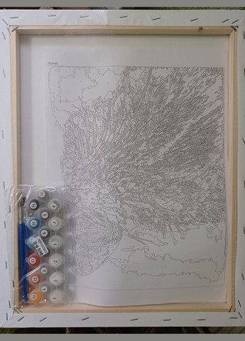 Картини за номерами коти Картини в цифрах Тварини 40х50 Картина-розфарбування по номерах Кішка з метеликом GX44782 Rainbow Art (308989206)