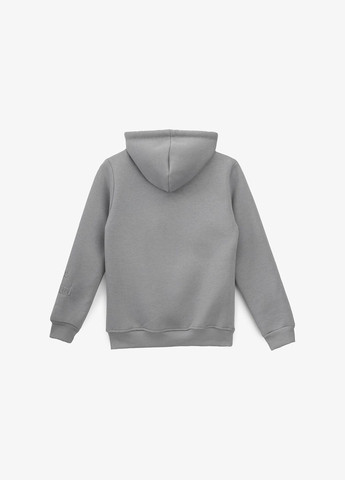 Худи с принтом для мальчика 505 116 см Серый shop (2000990805102) Pitiki (352528697)