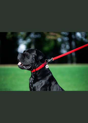Повідець для собак шкіряний Glamour Ш 25 мм Д 122 см червоний WAUDOG (279564612)