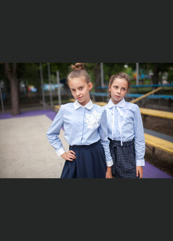 Голубая блузка Світ блуз демисезонная