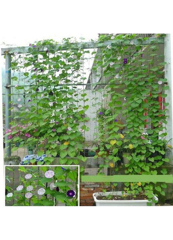 Сітка для Витких Рослин 🔥 Поліетиленова Плетена Нитка 🔥 Висока Щільність ❤️ Розмір 1,8х1,8 м ❤️ Comshop (364316045)