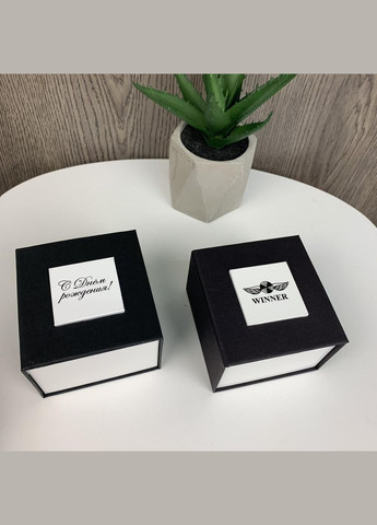 Якісні чоловічі механічні годинники GMT-1159 Gold золото, наручний годинник Віннер скелетон 2022(BRT) Winner (336551786)