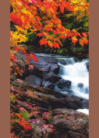 Картина-обігрівач "Осінній водоспад" на плівці 105x60 см 300 Вт Monocrystal (315722634)