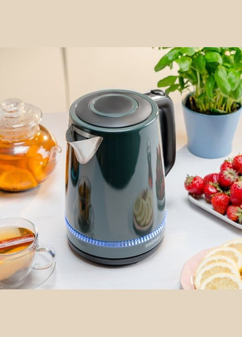 Чайник ZCK7921 G Zelmer (340060070)