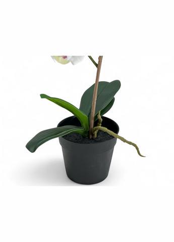 Искусственное растение в горшке. Орхидея IKEA FEJKA (322872923)
