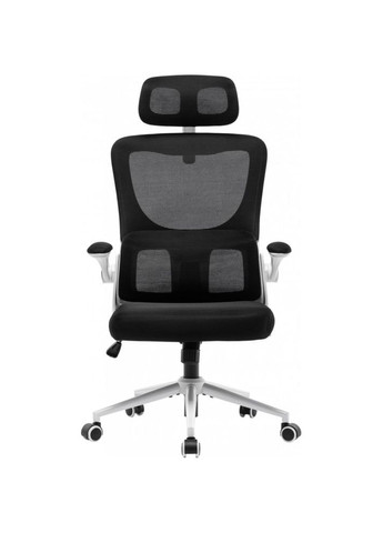 Крісло X-5728 White/Black GT Racer (316534872)