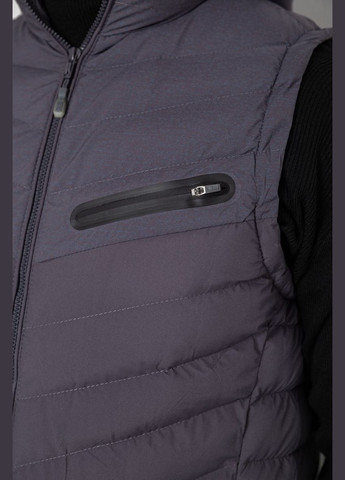 Жилетка чоловіча демісезонна Ager 244R777 (313035264)