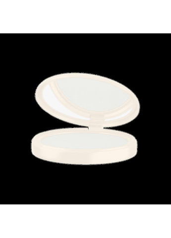 Напівпрозора пудра 12 г Farmasi (295922263)