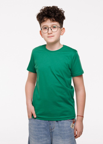 Зеленая демисезонная футболка детская 32р. 110см-116см зеленый (1233118602431) Наталюкс 12-3311