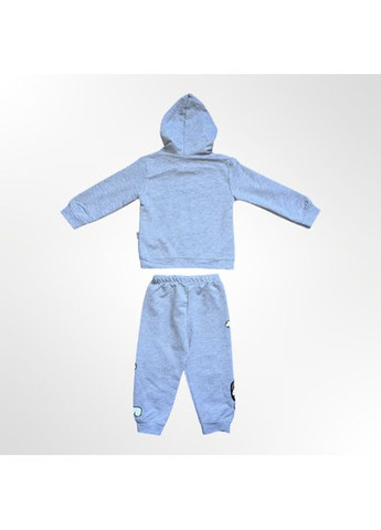Сірий демісезонний дитячий комплект (кофта з капюшоном + штани) для хлопчика сірий (0370-12) брючний Murat baby