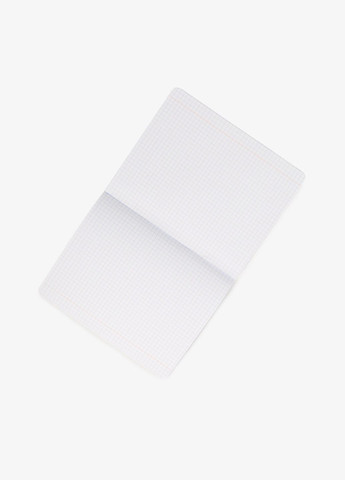 Зошит шкільний BOTANIQUE 339423 12 аркушів shop (5902277339423) No Brand (362745562)