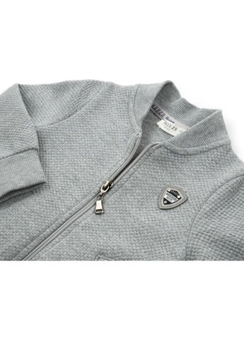 Кофта на молнии (13593-74B-gray) Breeze (301146536)