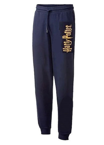 Чоловічі спортивні штани з колекції Гаррі Поттера, з начісом усередині. Harry Potter (300176026)