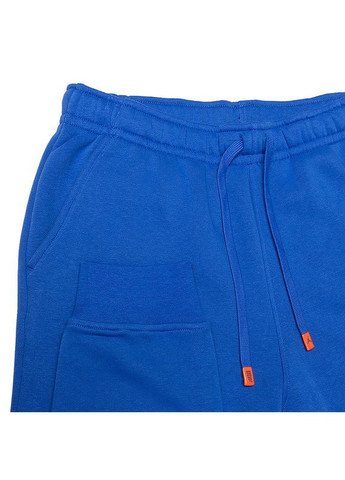 Синие спортивные демисезонные брюки Jordan