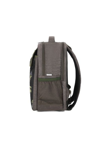 Рюкзак школьный BL Отличник 20 л. хаки 901 (00058070) (1123920970) Bagland BL Відмінник 20 л. хакі 901 (00058070) (366697425)