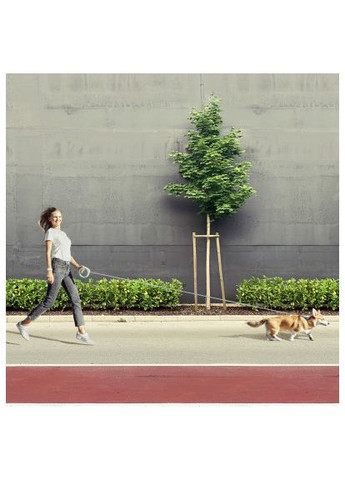 Поводок для собак R-leash светоотражающая лента XS-M до 40 кг 2.9 м (81275) WAUDOG R-leash світловідбиваюча стрічка XS-M до 40 кг 2.9 (367775959)