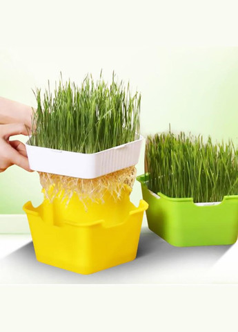 Лоток с крышкой для гидропонного выращивания микрозелени и рассады пятиугольный желтый (NR0140_2) No Brand (303898401)