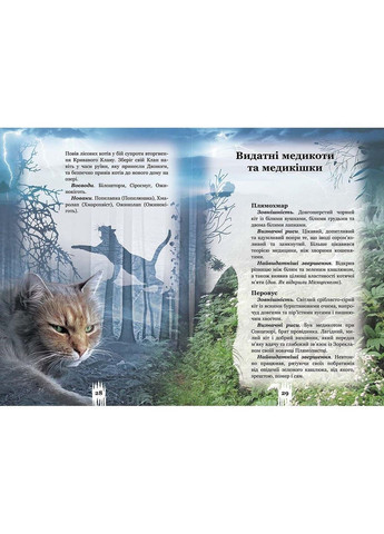 Книга Тайны кланов. Коты воители (на украинском языке) АССА (322275596)