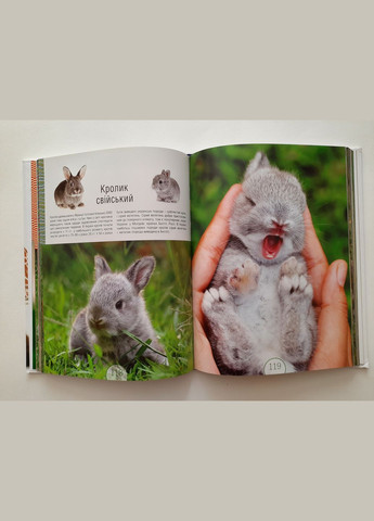 Книга для детей Малыши-зверята. Видавництво "Апріорі" (335210136)