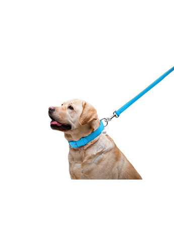 Поводок для собак кожаный WAUDOG Glamour, Ш 25 мм, Дл 122 см No Brand (363199425)