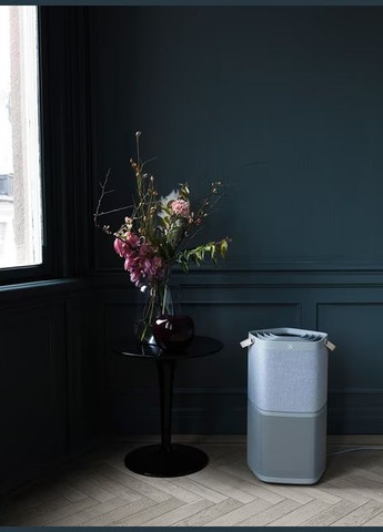 Очиститель воздуха PA91-404GY серый Electrolux (364756493)