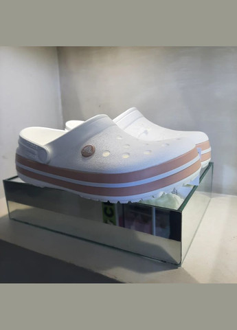 Жіночі крокс Крокбенд Clog Milk Pink Crocs Crocband (347147497)