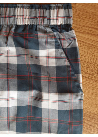 6824 MASON Брюки пижамные мужские Cyberjammies (334688885)