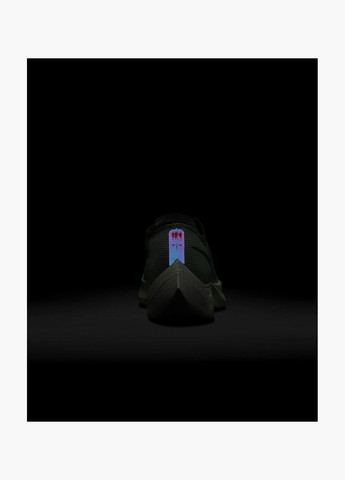 Зелені кросівки чоловічі zoomx vaporfly next% 2 green dz4779-304 Nike