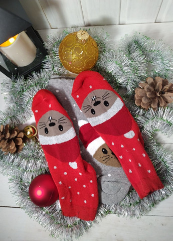 Світло-сірі набір жіночих шкарпеток новорічний друг №1 ароматизовані (427) Macarena новорічні (302947991)