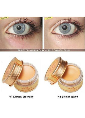 Консилер с экстрактом лососевой икры Salmon Dark Circle Concealer Cream 2 Beige натуральный 10 g SkinFood (369766714)