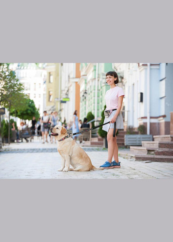 Ошейник для собак кожаный Design с QR паспортом, рисунок "Пончики", XL, Ш 35 мм, Дл 46-59 см, черный WAUDOG (322328063)