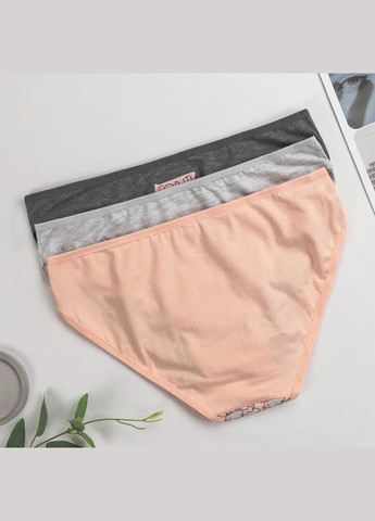 Набір трусиків жіночих бріфи трійки 3 шт Dominant (308791699)