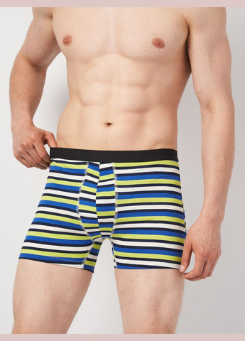 Трусы (3шт) Basic Collection (315006488)