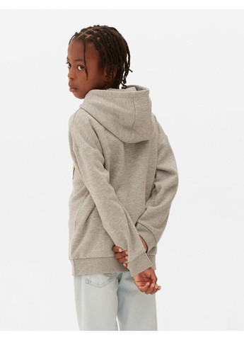 Дитяче тепле худі для хлопчика Сірий меланж (25101027) Primark (367581999)