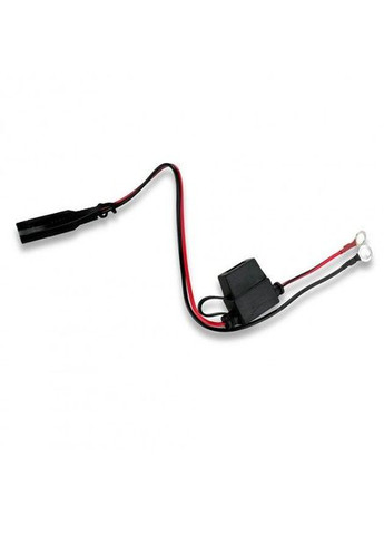 Зарядний інтелектуальний пристрій everActive CBC-01 для олив'яних акумуляторів 6/12V 1А Mastak (370968712)