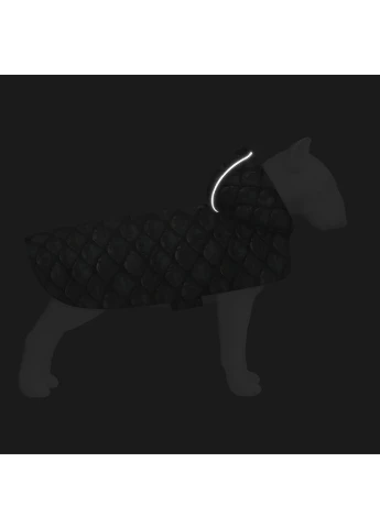 Дощовик-накидка з капюшоном для собак Clothes, малюнок "Луска",, А 26-29 см, B 32-41 см, С 21-26 см WAUDOG (402022616)