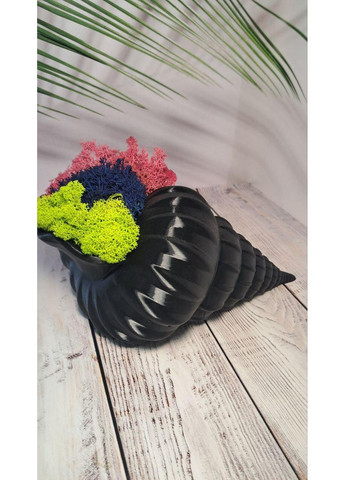 Кашпо "Мушля" зі стабілізованим мохом — 3D декор із природним настроєм No Brand (372186001)