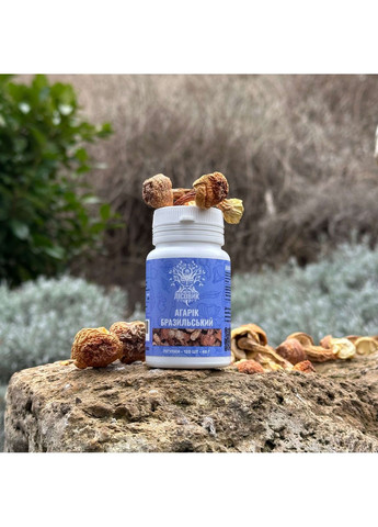 Агарік бразильський, гриби у пігулках 120 шт по 0.4 г Лісовик (334293088)