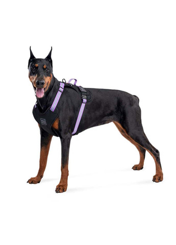 Шлея для собак безпечна Nylon Металева пряжка-фастекс S Ш 20 мм А 35-60 см В 55-65 см WAUDOG (292175490)